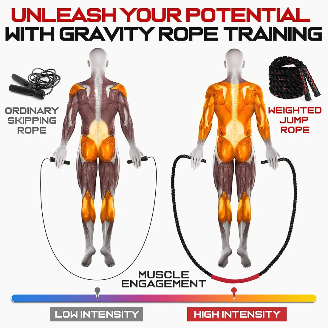Weighted Jump Rope 3lb-5lb, 9.8ft Heavy Fitness Skipping Rope