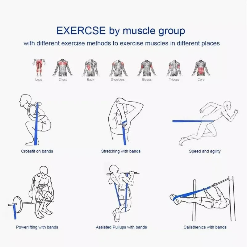 Resistance Bands for Home & Gym – Power & Yoga Training