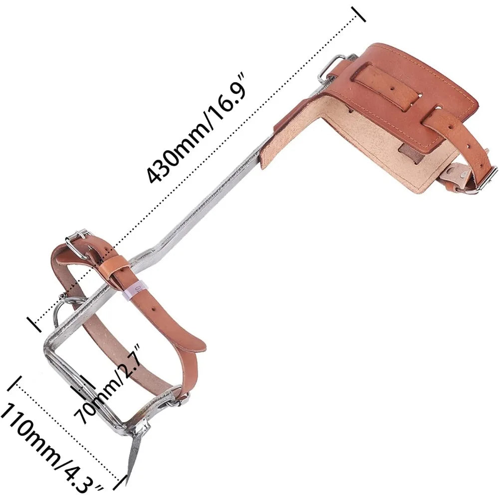 Non-Slip Tree Climbing Spurs with Safety Belt & Adjustable Lanyard