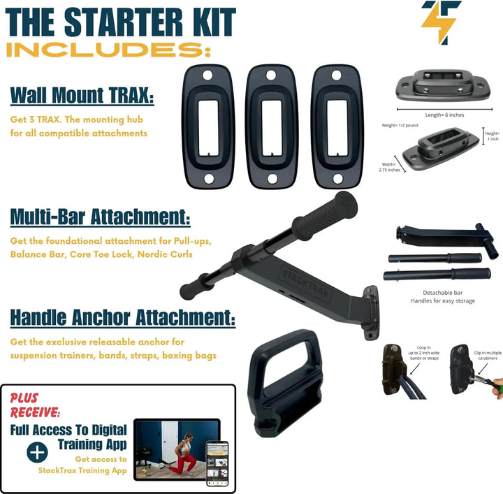 All-in-One Wall Mounted Pull-Up & Nordic Curl Bar